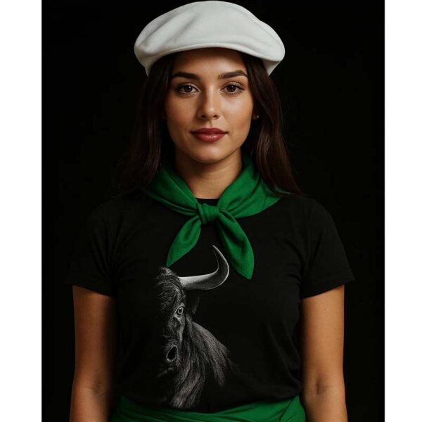 2134.jpg Camiseta fiestas toro bravo