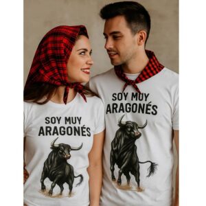 2138.jpg Camiseta fiestas aragoneses